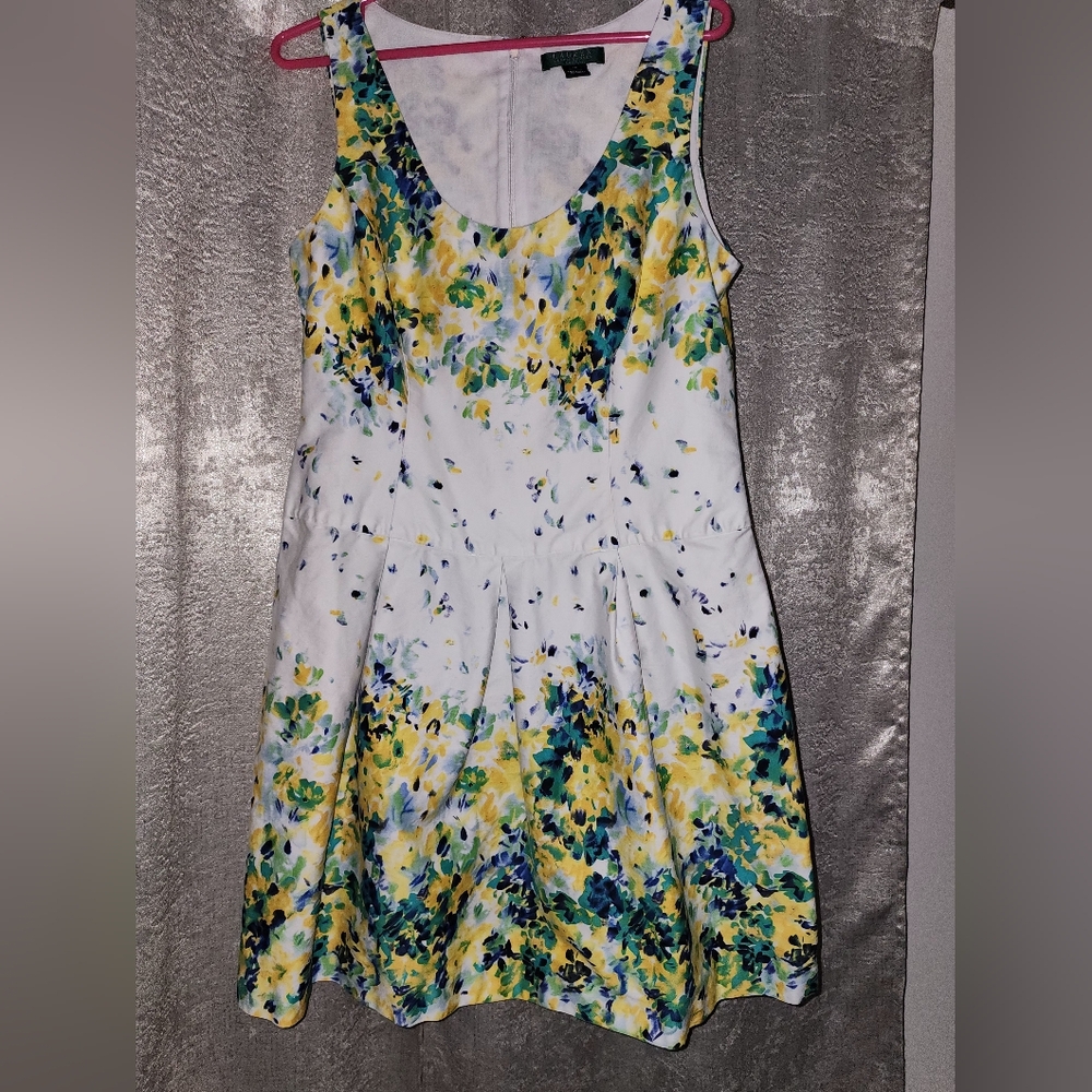 Size 14 Ralph Lauren  Women's Floral Watercolor Fit And Flare